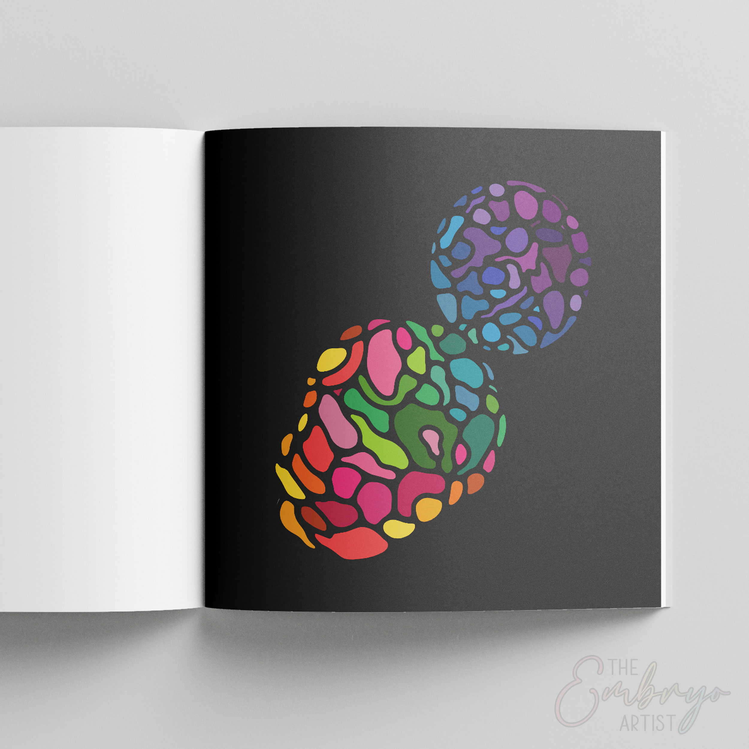 An inside page colored of an embryo.